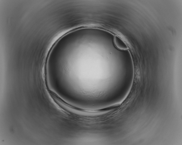 X0000113760959200909231202