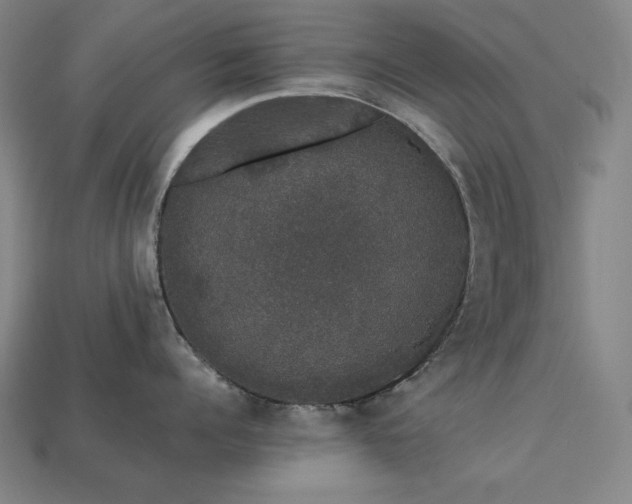 X0000113760960200909231202