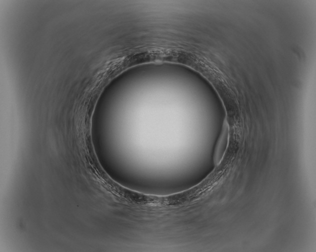X0000113760961200909231201