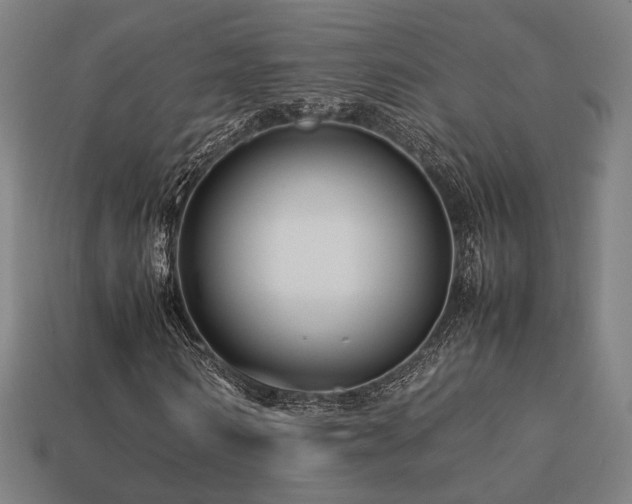 X0000113760962200909231201
