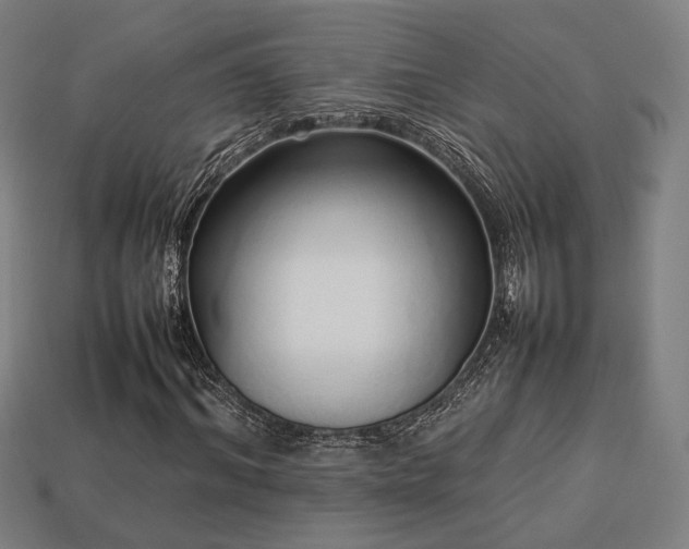 X0000113760964200909231201