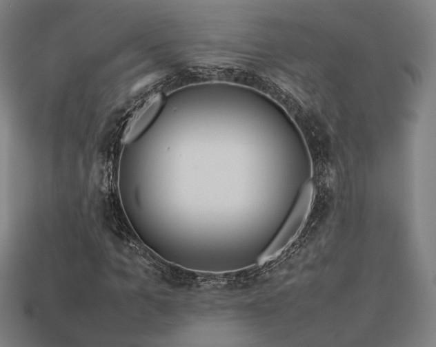 X0000113760965200909231201