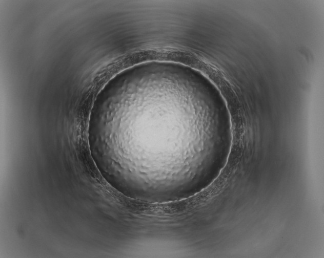 X0000113760966200909231201