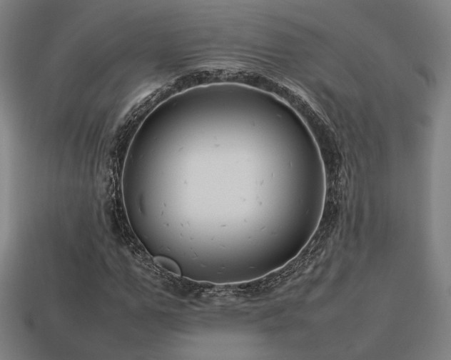 X0000113760967200909231201