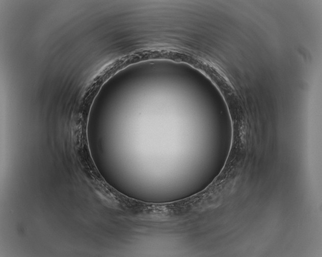 X0000113760968200909231201