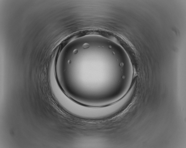 X0000113760969200909231201