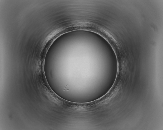 X0000113760970200909231201