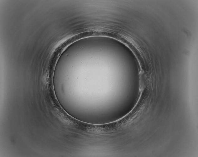 X0000113760971200909231201