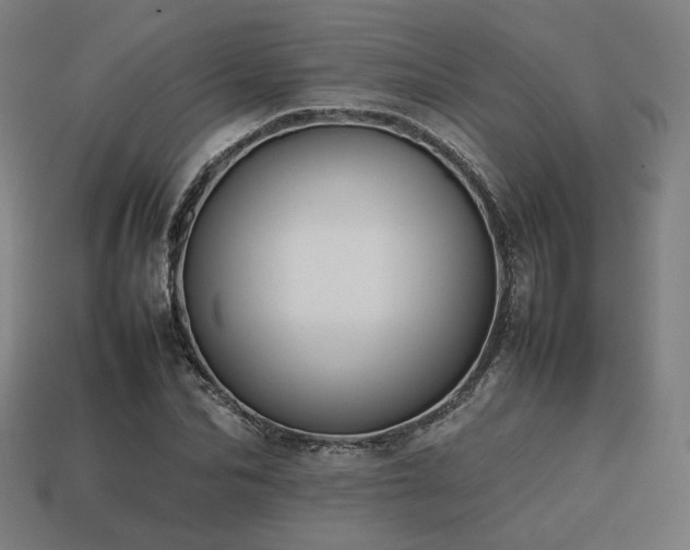 X0000113760974200909231201