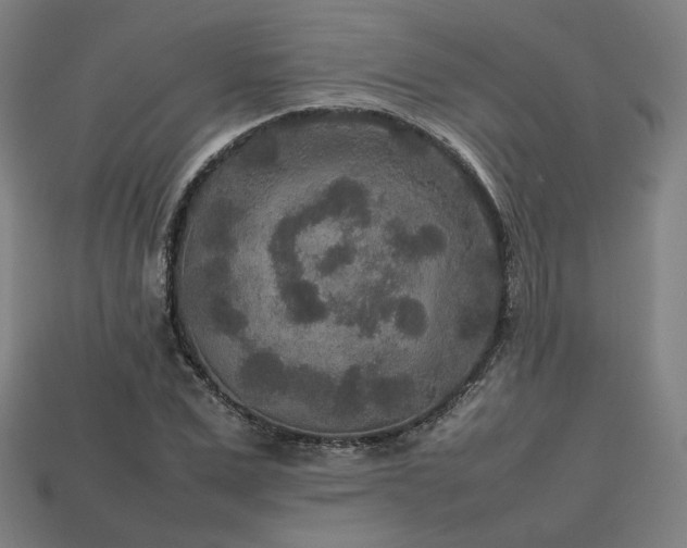 X0000113760975200909231201
