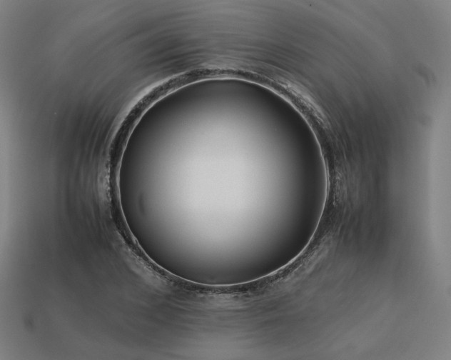 X0000113760976200909231201
