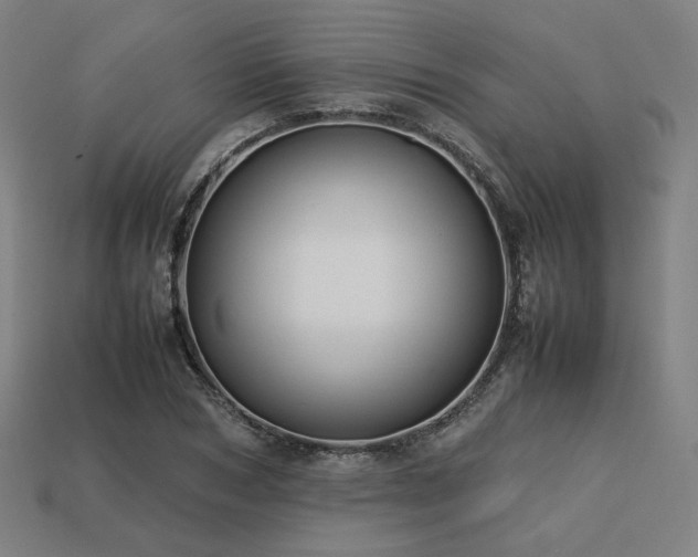 X0000113760978200909231201