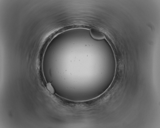 X0000113760979200909231201