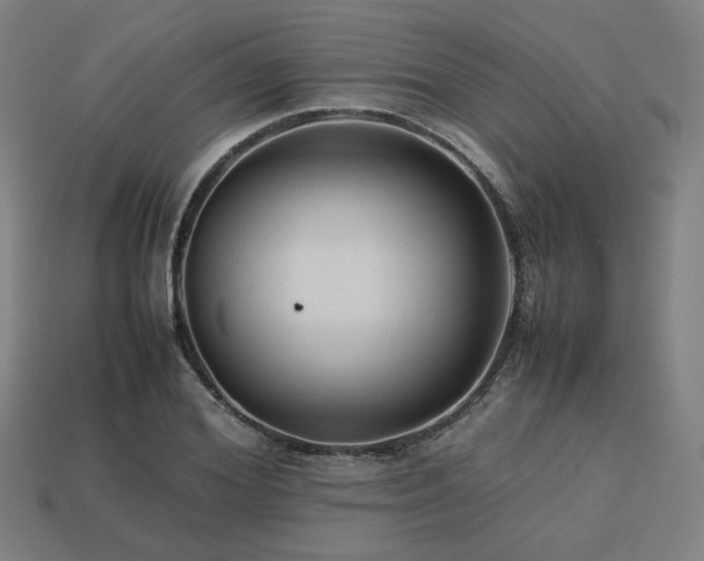 X0000113760980200909231201