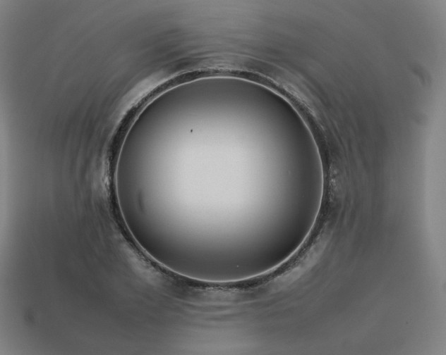 X0000113760981200909231201