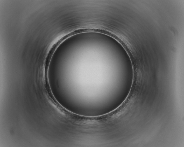X0000113760982200909231201