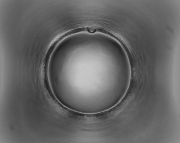 X0000113760983200909231201