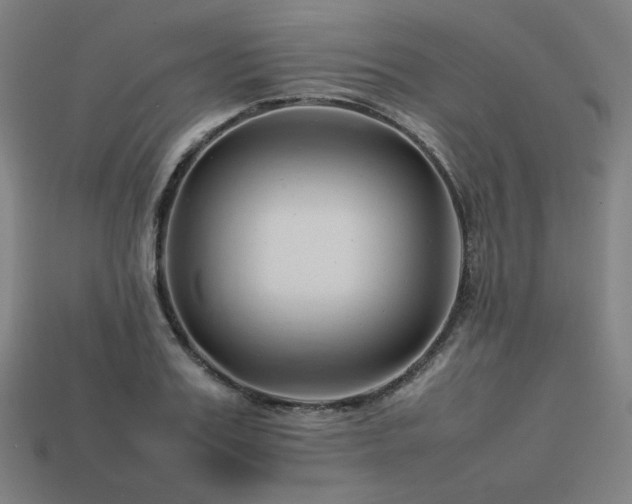 X0000113760987200909231201