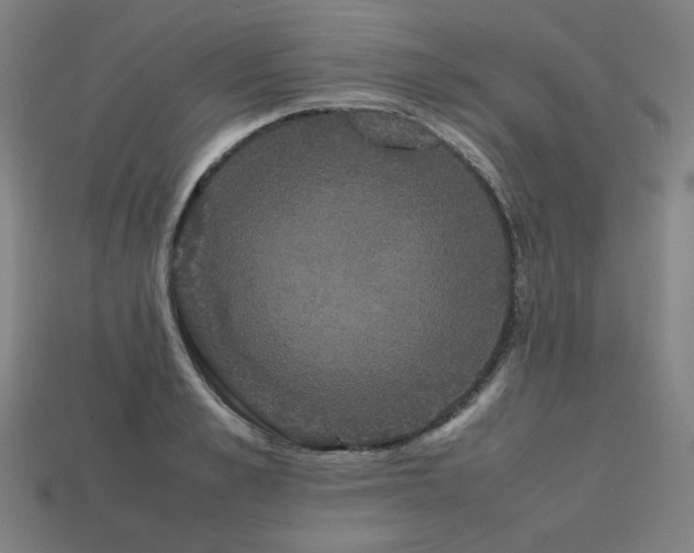 X0000113760989200909231201