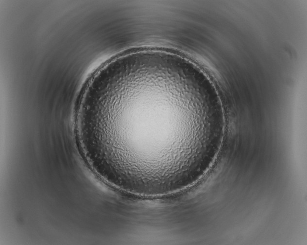 X0000113760990200909231201