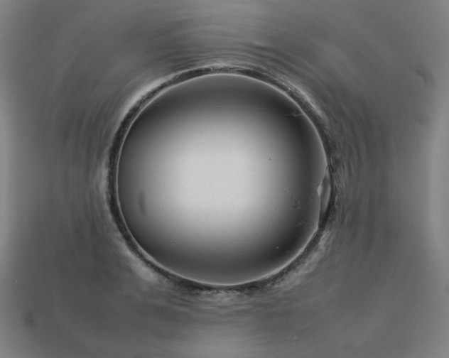 X0000113760991200909231201
