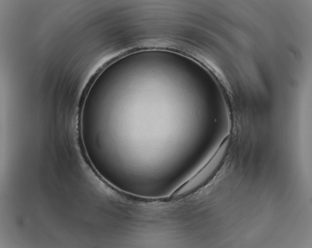 X0000113760992200909231201