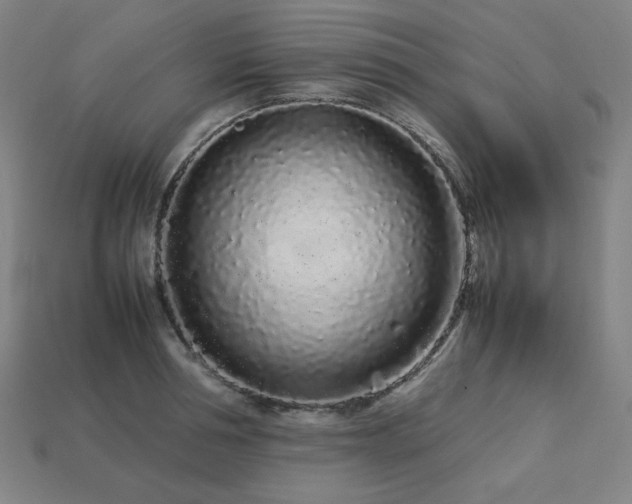 X0000113760994200909231201