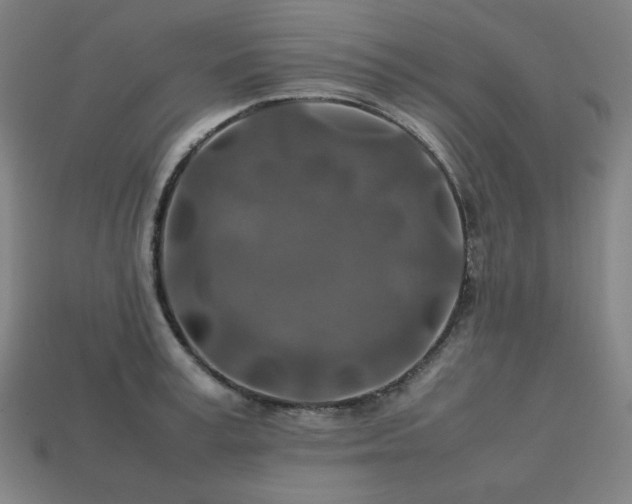 X0000113760995200909231201