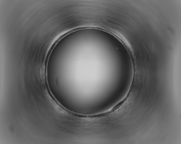 X0000113760996200909231201