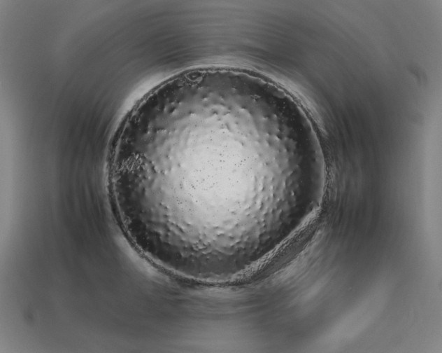 X0000113760998200909231201