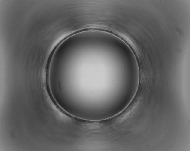 X0000113760999200909231201