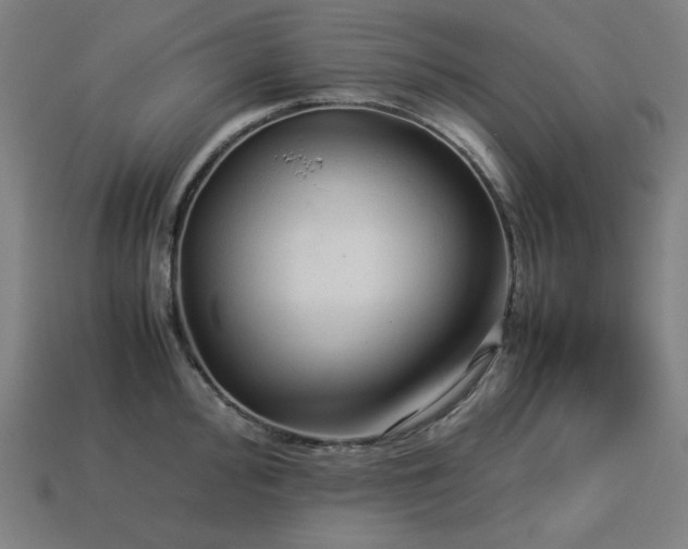 X0000113761000200909231201