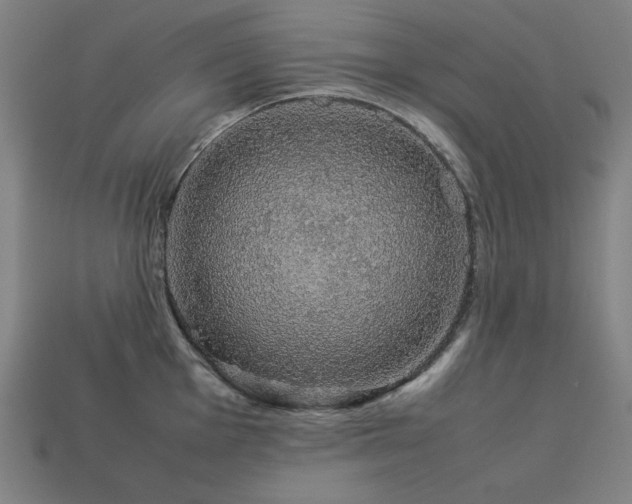 X0000113761001200909231201