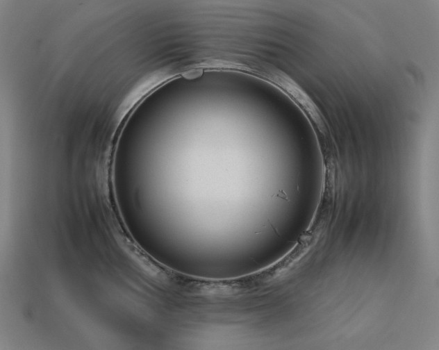 X0000113761002200909231201