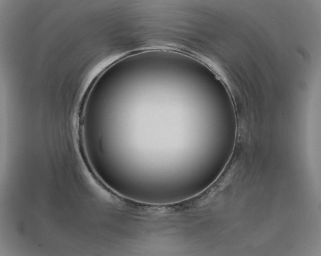 X0000113761003200909231201