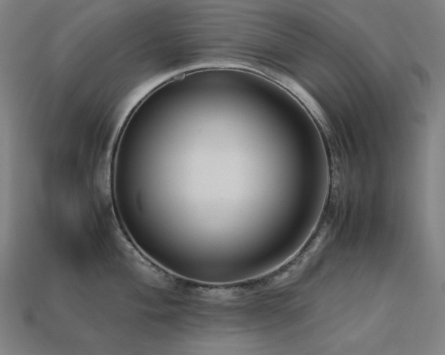 X0000113761004200909231201