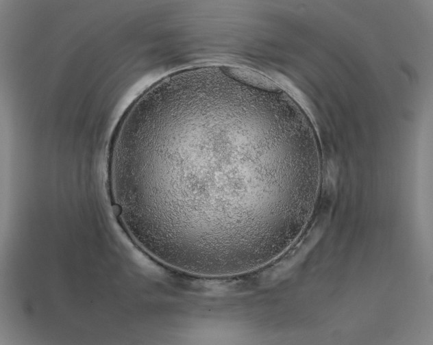 X0000113761005200909231201
