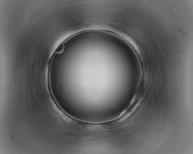 X0000113761006200909231201