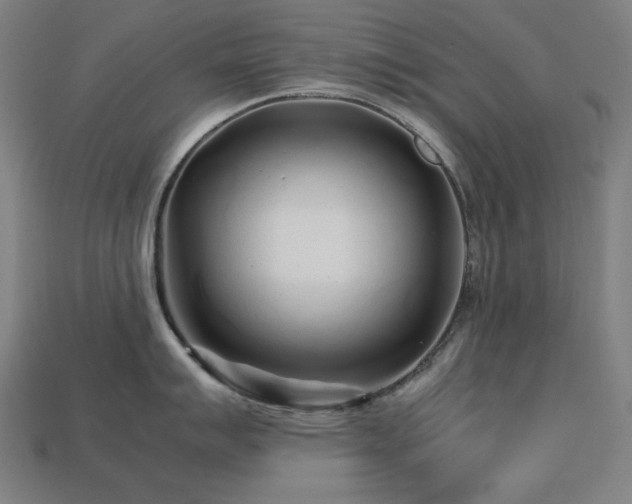 X0000113761007200909231201
