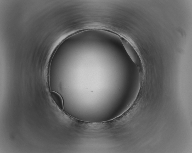X0000113761008200909231201