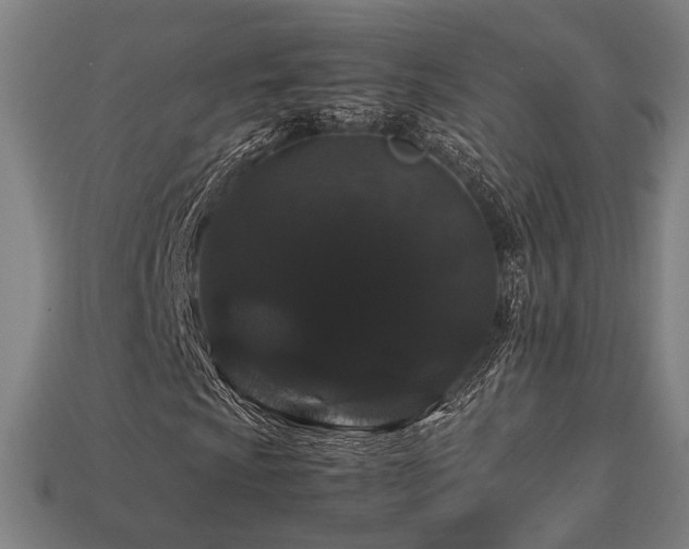X0000113761009200909231200