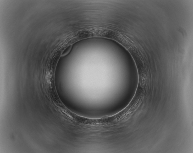 X0000113761010200909231200