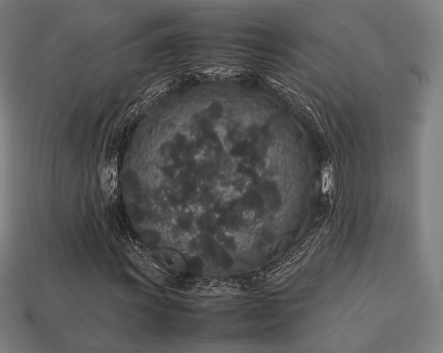 X0000113761011200909231200