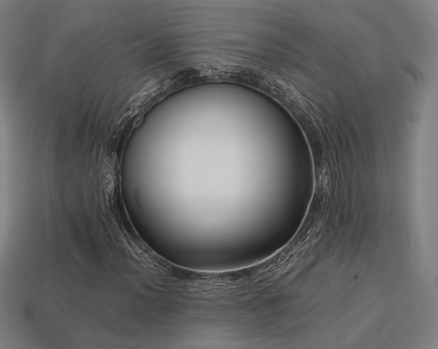 X0000113761012200909231200