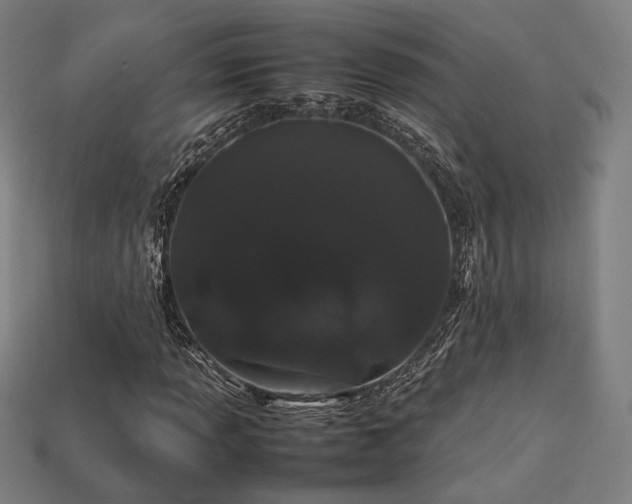 X0000113761013200909231200