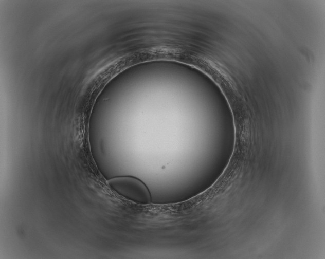 X0000113761015200909231200