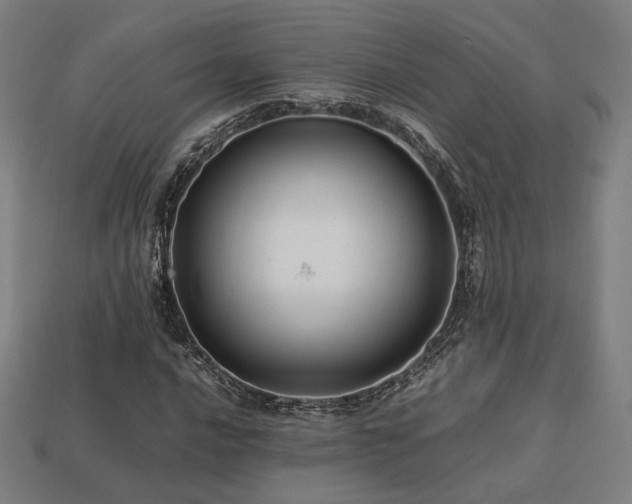 X0000113761016200909231200