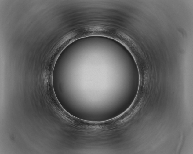 X0000113761017200909231200