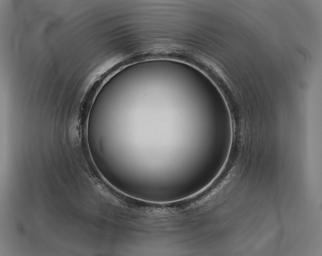 X0000113761018200909231200
