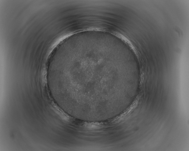 X0000113761019200909231200